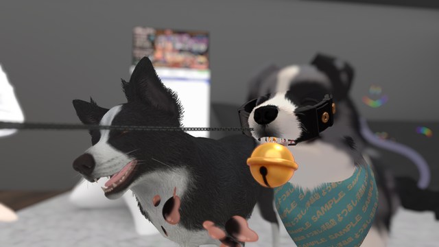 VRChatのDOG ROOMで話しかけてきた犬の人