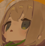 野良の人