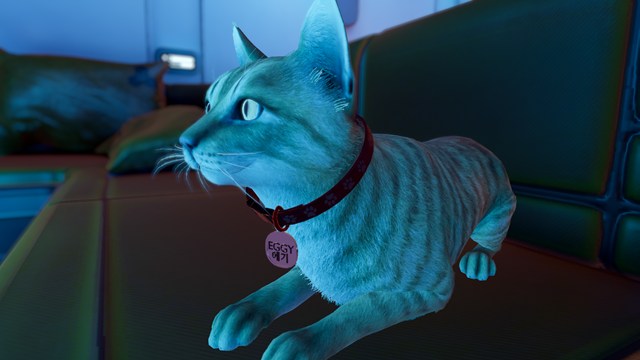 Project Lost Worldsの猫